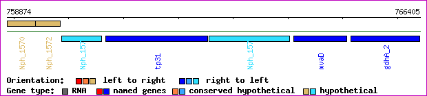 gene map