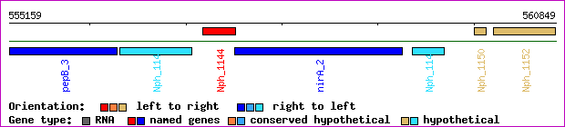 gene map
