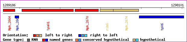 gene map