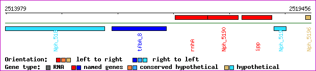 gene map