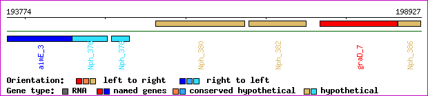 gene map