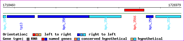 gene map