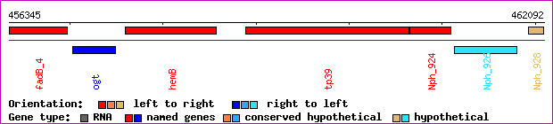 gene map