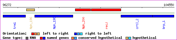 gene map