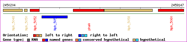 gene map