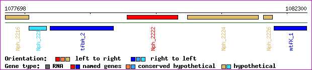 gene map