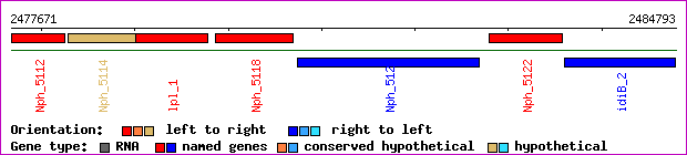 gene map
