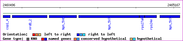 gene map