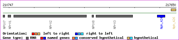 gene map