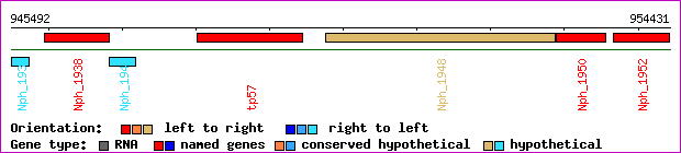 gene map