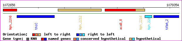 gene map