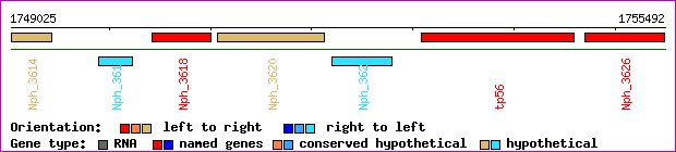 gene map