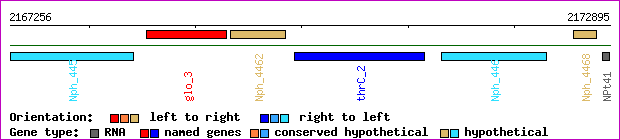 gene map