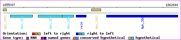 gene map