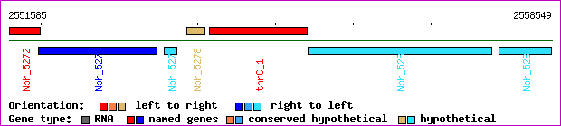 gene map
