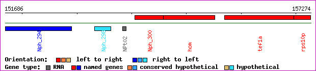 gene map