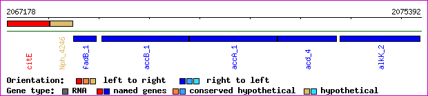 gene map