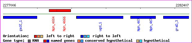 gene map