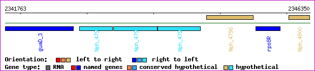 gene map