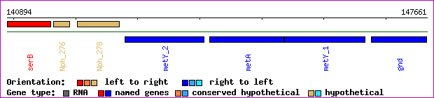 gene map