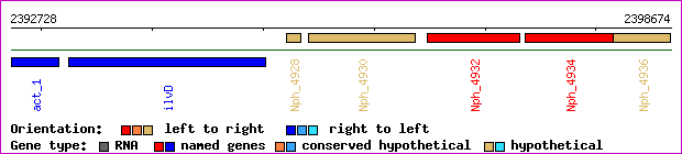 gene map