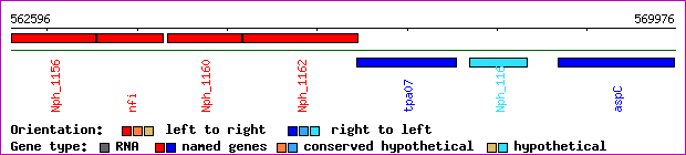 gene map