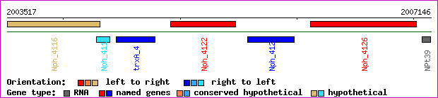 gene map