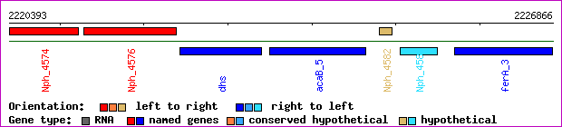 gene map