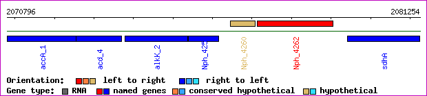 gene map