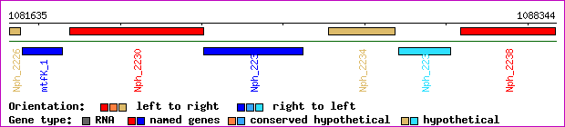 gene map