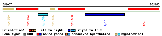 gene map