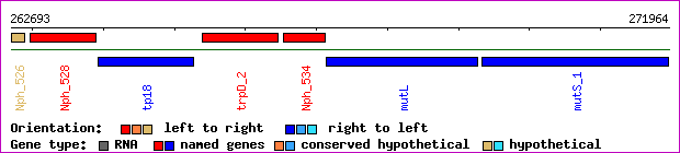 gene map