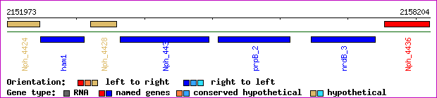gene map