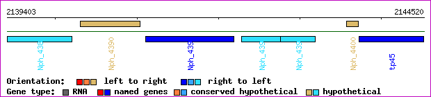 gene map