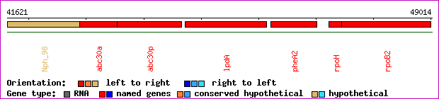 gene map