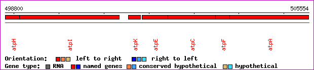 gene map