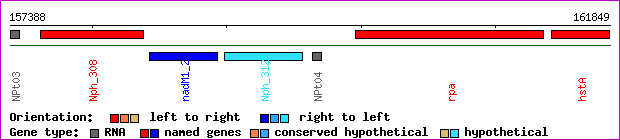 gene map