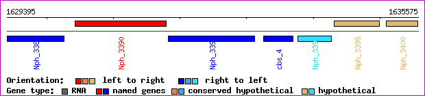 gene map