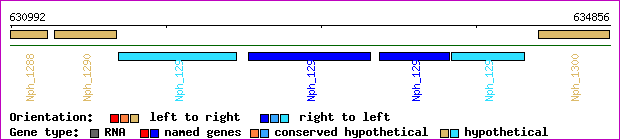 gene map
