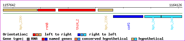 gene map