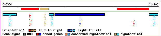 gene map