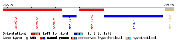 gene map