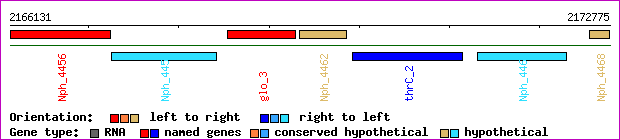 gene map