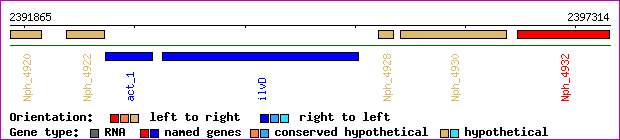 gene map