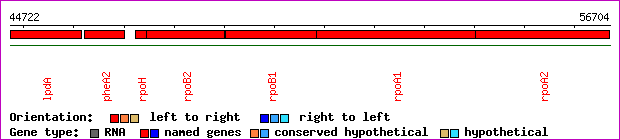 gene map