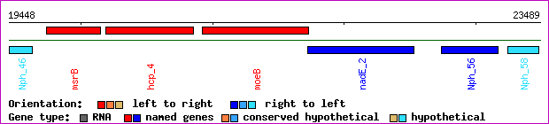 gene map