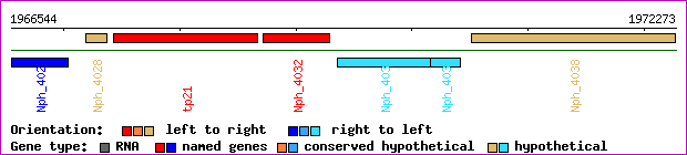 gene map