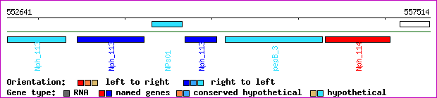 gene map