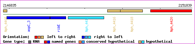 gene map