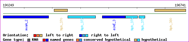 gene map